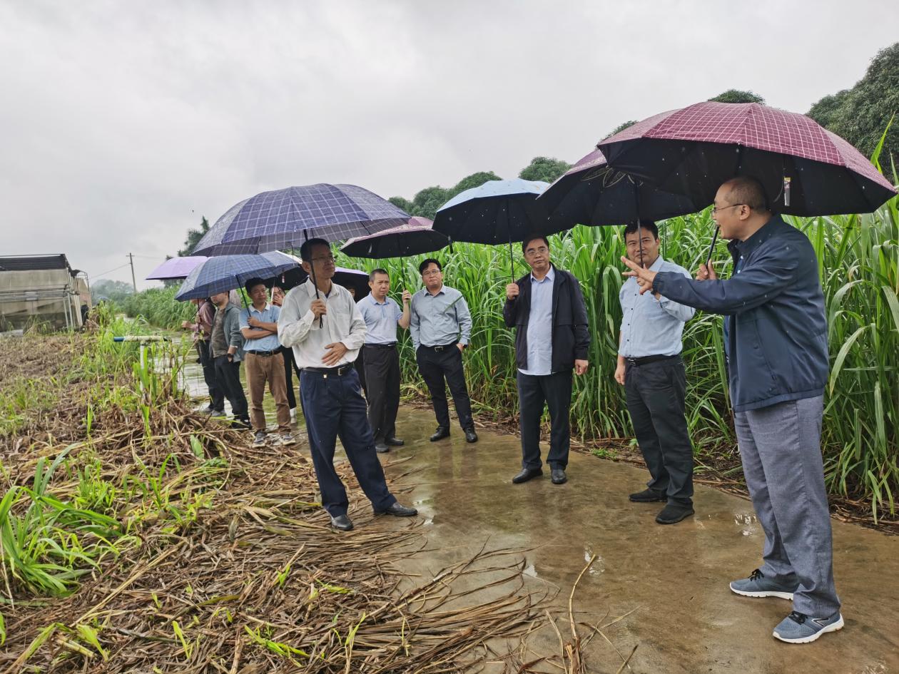 857343077a0e2168710e8b15ba05645