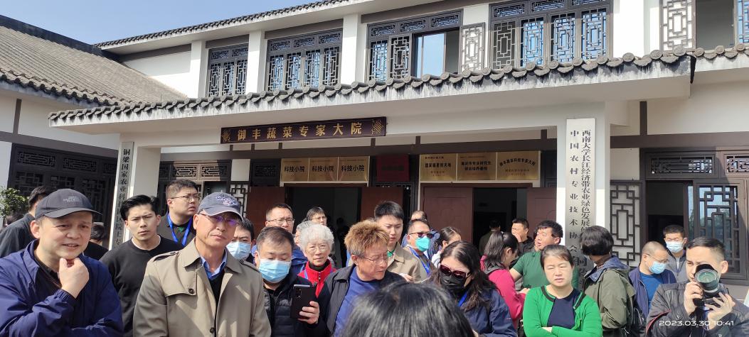 参观重庆铜梁蔬菜科技小院