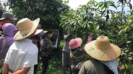 0b460ea6de650944c4ec6ed4ead0d32