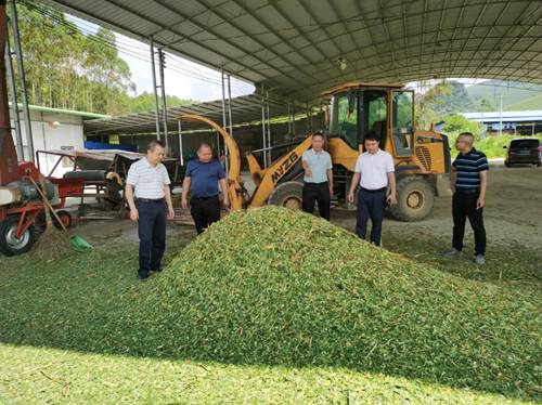 37477d6d48e37412986f6e047606d79