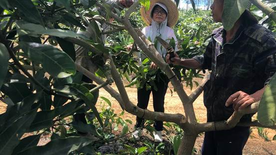 d60bd425ec690342cc051c21ddc4535