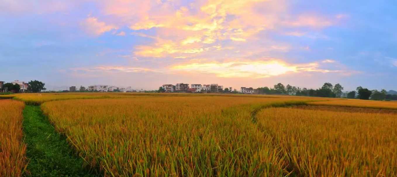 现代农业技术小高地